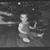 Diane Holdsworth Legg's profile image