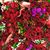 Amy Neubauer Gatto's profile image
