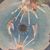 Jeffrey Fatheree's profile image
