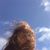 Katrina Dembkowska's profile image
