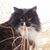 Debra Butler's profile image