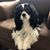 Tony DeLuca's profile image