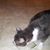 Cecile Rock's profile image