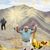 Hector Guasco's profile image