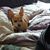 Crystal Ann Williams's profile image