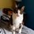 Mary Tootie Leet Morgan's profile image