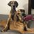 Tammy Trexler's profile image