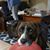 Neil Klotzer's profile image