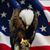 Bobbi Boynton's profile image