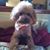 Pat Keirsey's profile image