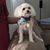 Marcia Kincaid's profile image