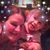 Kate Giandonato's profile image