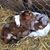 Carmen Powell Berti Darcey's profile image