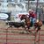 Jamin Dougherty's profile image