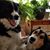 Katie Castell's profile image