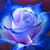 Shelly Larsen's profile image
