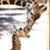 Kimberley Gregor's profile image