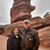 Dave Wells's profile image