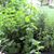 Barb Hinchik's profile image