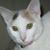 Barbara Cunningham's profile image