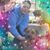 Marjory Thomas's profile image