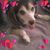 Jackie Blair Phillips's profile image
