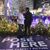 Lorena Lupcho Priestley's profile image