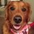 Jackie Morris's profile image
