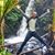 Viren Funbook's profile image