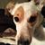 Cyndi Young Brunnet's profile image
