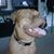 Dave Foreman's profile image