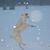 Lynne Garwood's profile image