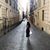 Gabriela N. Manriquez's profile image