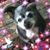 Elizabeth Meza's profile image