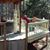 Sarah Jeanne Brannen Delavan's profile image