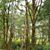 Diana Quealy-Berge's profile image