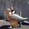 Michael Holz's profile image