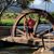 Carolyn Richards's profile image