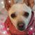 Lisa Lee Morgan's profile image