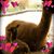 Donna Bogner's profile image