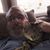 Bill Rhodes's profile image
