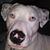 Alishia Parker's profile image