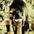 Mariem Mariouma's profile image