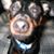 Missy Locy's profile image