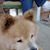 Joan Westhoff's profile image