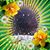 Anita Kinsch Street's profile image