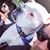 Richard DeFrancisco's profile image
