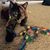 Lisa Rago's profile image