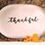 Sandylee Felder's profile image
