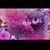 Aisha Khalid's profile image